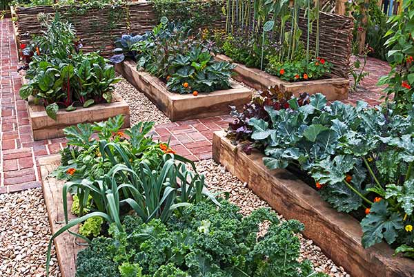 Hawkswood Garden Rooms raised vegetable planter